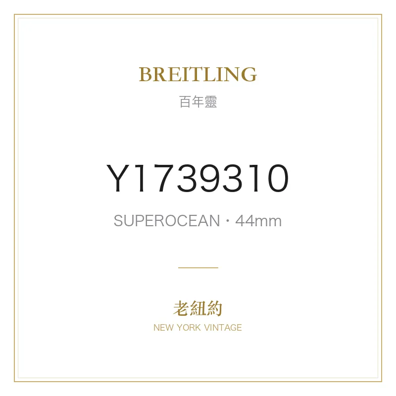 BREITLING Y1739310 SUPEROCEAN