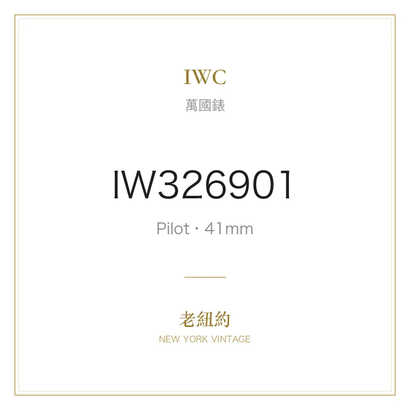 IWC IW326901 Pilot