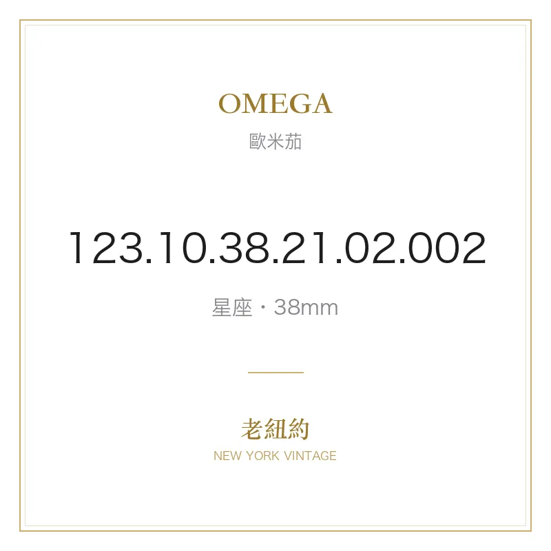 OMEGA 123.10.38.21.02.002 星座