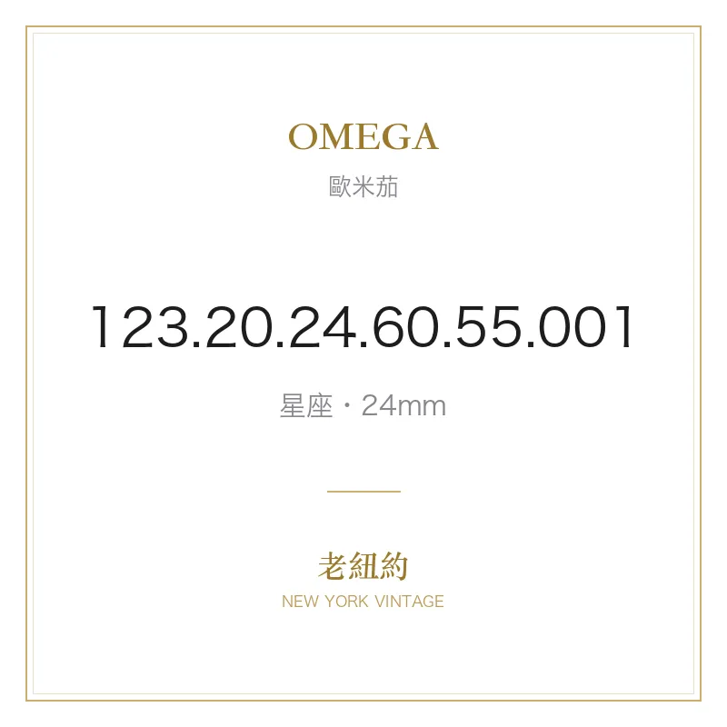 OMEGA 123.20.24.60.55.001 星座