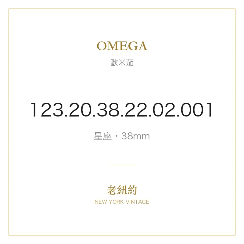 OMEGA 123.20.38.22.02.001 星座