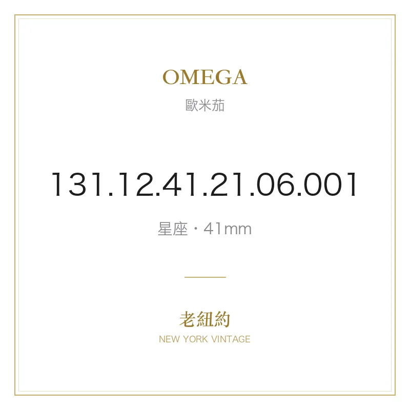 OMEGA 131.12.41.21.06.001 星座