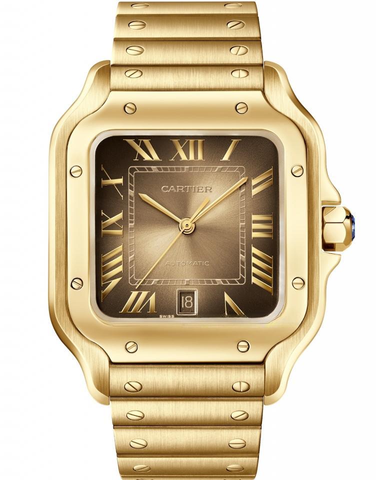CARTIER WGSA0095 SANTOS DE CARITER