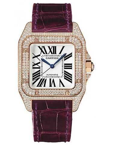 CARTIER WM502151 SANTOS DE CARITER