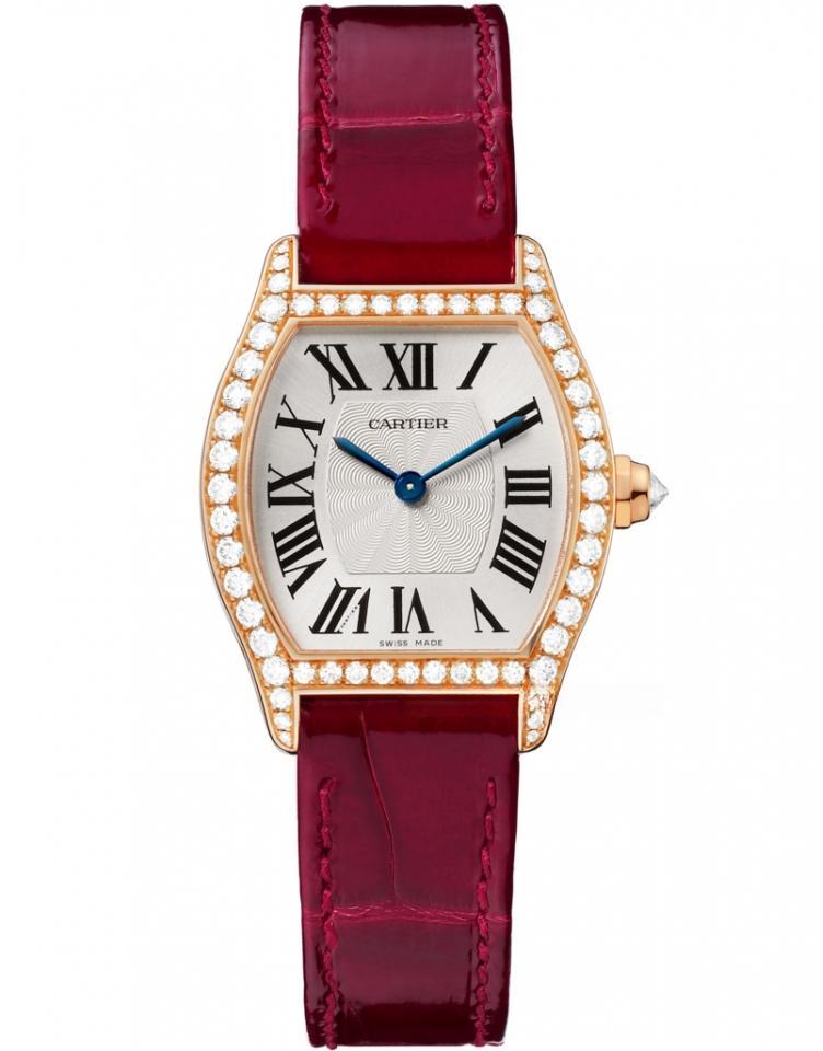 CARTIER WA501006 TORTUE
