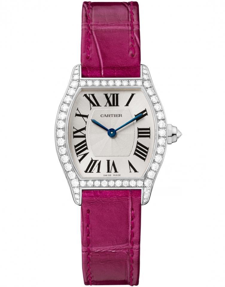 CARTIER WA501007 TORTUE