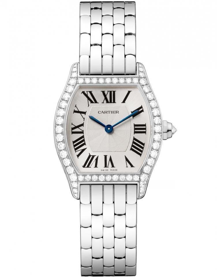 CARTIER WA501011 TORTUE