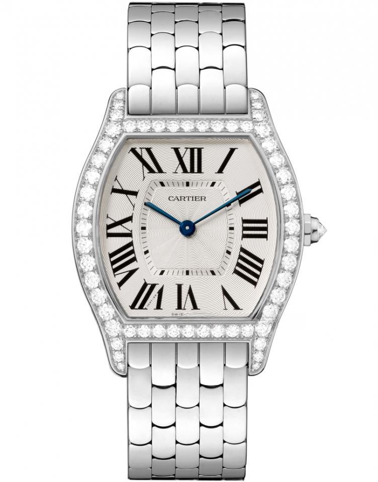 CARTIER WA501013 TORTUE