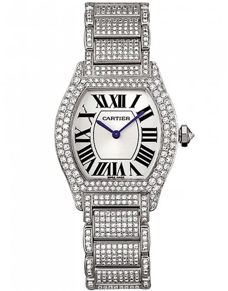 CARTIER WA5049MC TORTUE