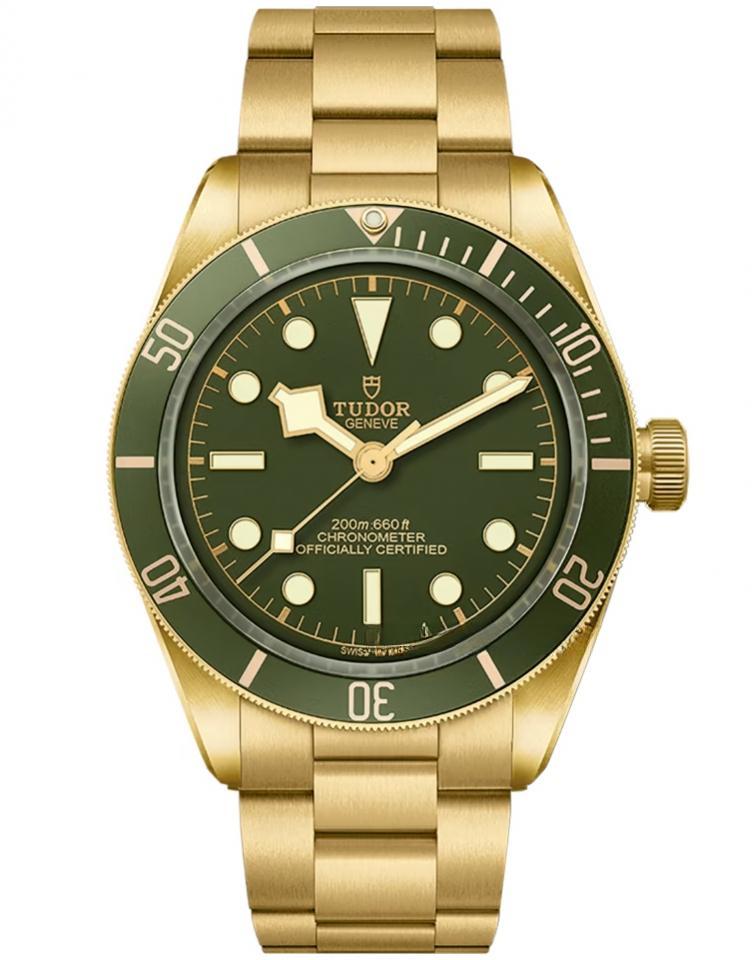 TUDOR M79018V-0006 BLACK BAY