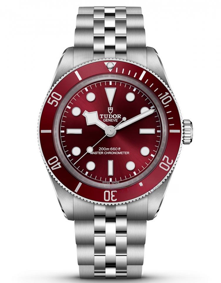 TUDOR M7939A1A0RU-0003 BLACK BAY