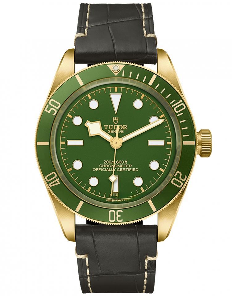 TUDOR M79018V-0001 BLACK BAY