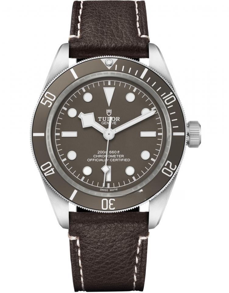 TUDOR M79010SG-0001 BLACK BAY