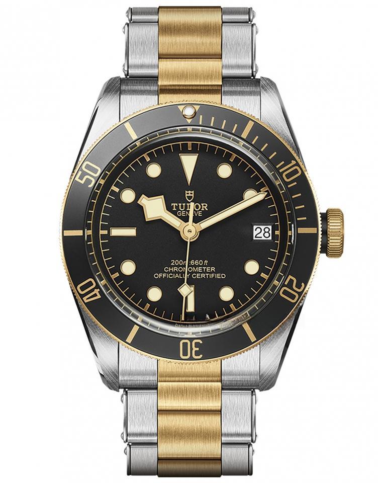TUDOR M79733N-0008 BLACK BAY